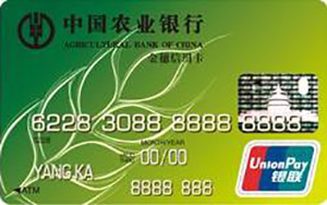 农业银行金穗标准准贷记信用卡_农业信用卡申请